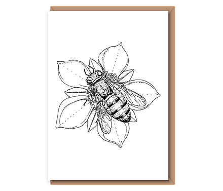 “Honey Bee On Bramble”