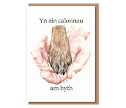 "Paw to Palm" Yn ein calonnau am byth