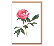 “Solo peony” (pink tonal single flower with leaves)