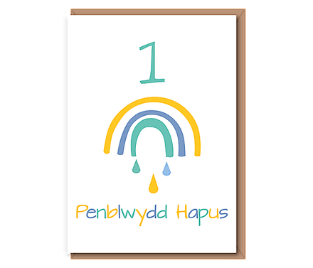 1 – Pen–blwydd Hapus (rain rainbow)