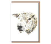 “Texel Tup”