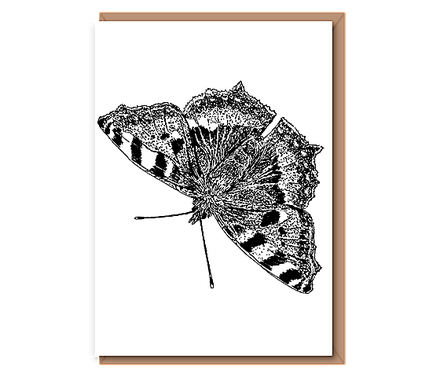 “Small Tortoiseshell Butterfly”