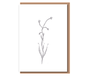 “New Growth” Seed Pod Flower