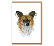 “Long–haired Chihuahua”