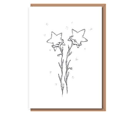 “Flourishing Star Duo” 2 Star Flowers