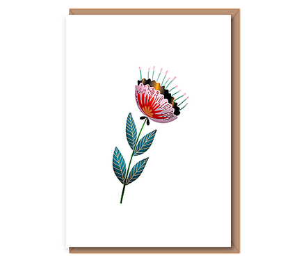 Pink protea