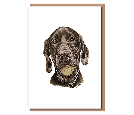 "“Great Dane x Labrador” (black dog w/tennis ball)