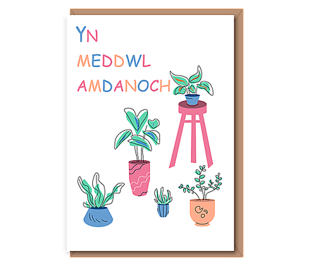 Meddwl Amdanoch Chi (house plants)