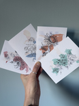 Multi–pack of 4 botanical blank cards with artwork by
