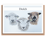“Trio of sheep” (different breeds) Landscape