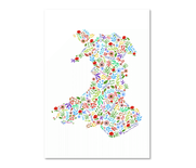 Multicolour Floral map of Wales