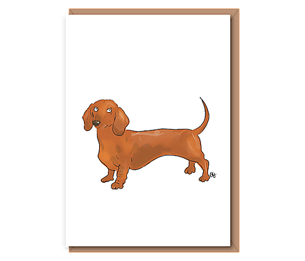 “Banger” (dachshund)