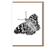 “Painted Lady Butterfly”