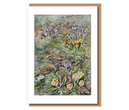 “First colours of spring”