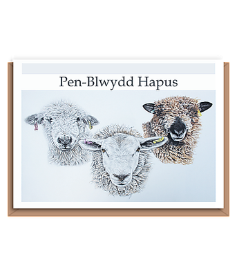 “Trio of sheep” (different breeds) Landscape