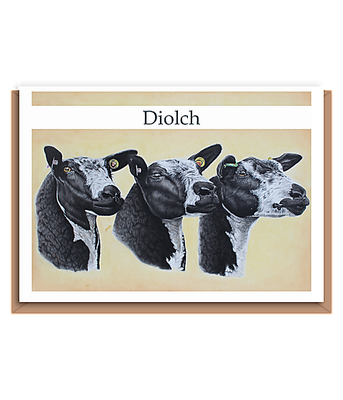 “3 Dutch spotted”