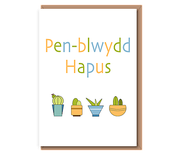 Pen–blwydd Hapus (4 houseplants)