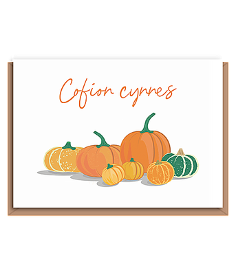 Cofion cynnes – Pumpkins and squash (landscape)