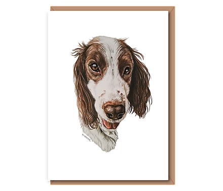 “Sprocker Spaniel”