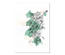Abstract Mint floral line (text free)