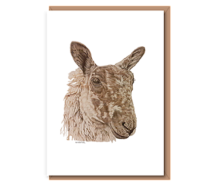 “Speckle Mule Ewe”