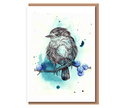 “Blue Robin”
