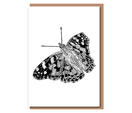 “Painted Lady Butterfly”