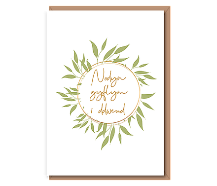 Nodyn gyflym i ddweud