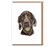 "“Great Dane x Labrador” (black dog w/tennis ball)