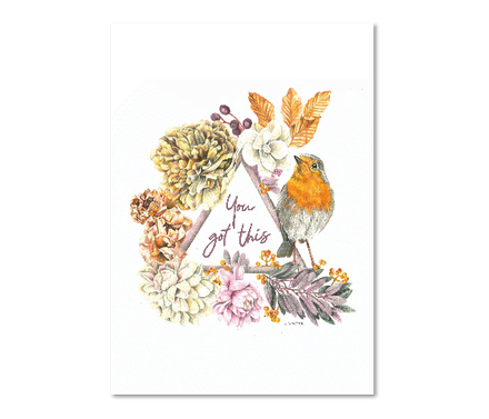 “Triangle Robin” – You Got This