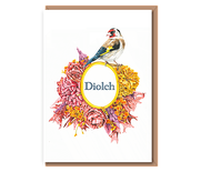 (Golden Finch) – Diolch