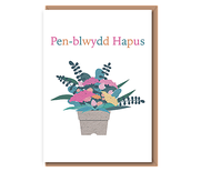 Penblwydd Hapus (pot plant)