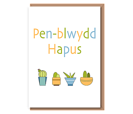 Pen–blwydd Hapus (4 houseplants)
