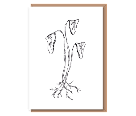 “Planting Roots” 3 Leaves w/ Roots