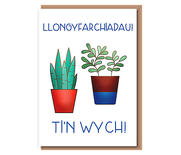 Llongyfarchiadau! Ti’n wych!