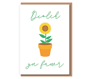 Diolch yn fawr (potted sunflower)
