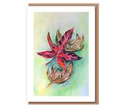 “Changing Seasons”