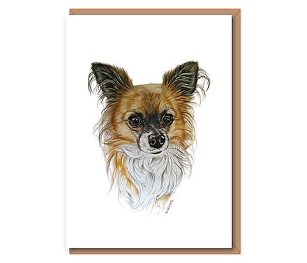 “Long–haired Chihuahua”
