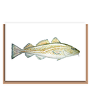 Cod – “Gadus morhua” (green fish)