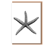 “Spiny Starfish”