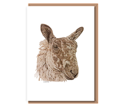 “Speckle Mule Ewe”