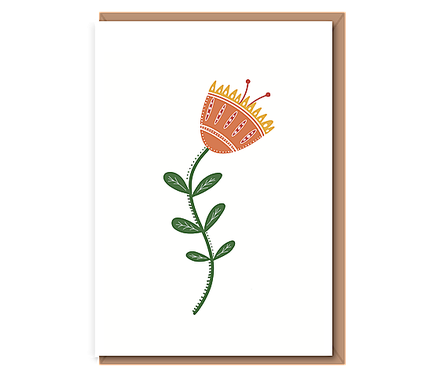 Cartoon protea – peach