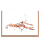 Langoustine – “Nephops norwegicus”