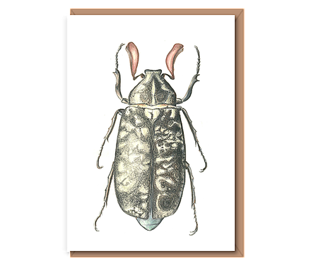 Beetle 1 – “Studies in Coleoptera diversity”