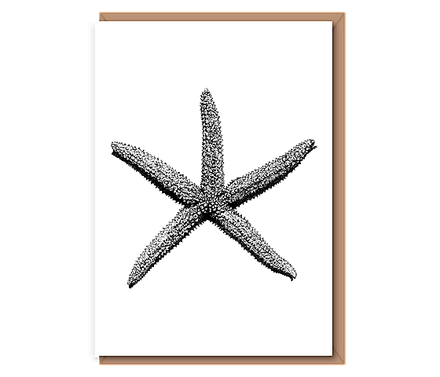 “Spiny Starfish”