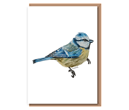 “Bluetit”