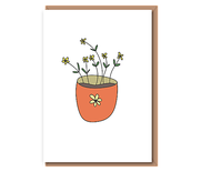 Plant plot and flowers