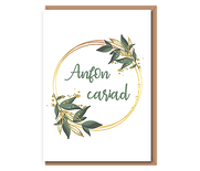 Anfon cariad