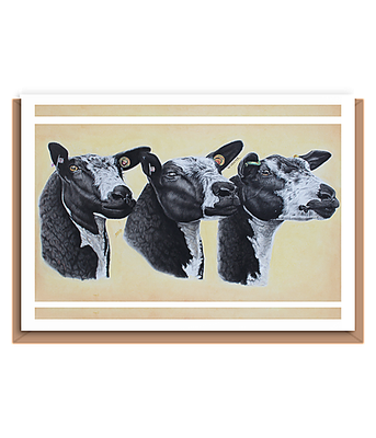 “3 Dutch spotted”