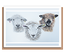 “Trio of sheep” (different breeds) Landscape